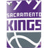 NBA Sacramento Kings Large Logo PS5 Bundle Skin