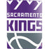 NBA Sacramento Kings Large Logo PS5 Digital Edition Bundle Skin
