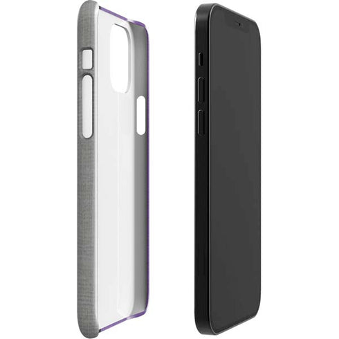 NBA Sacramento Kings Split Canvas iPhone 12 Mini Lite Case