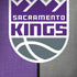 NBA Sacramento Kings Split Canvas iPhone X Skin