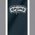 NBA San Antonio Spurs Nintendo 2DS XL (2017) Skin