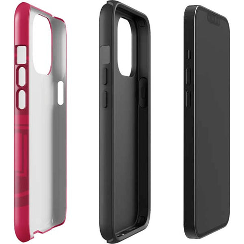 NFL San Francisco 49ers Double Vision iPhone 13 Pro Max Impact Case
