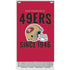 NFL San Francisco 49ers Helmet Xbox Series S Skins