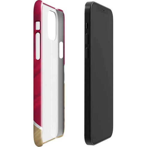 NFL San Francisco 49ers iPhone 12 Mini Lite Case