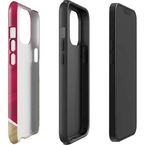 NFL San Francisco 49ers iPhone 13 Pro Max Impact Case