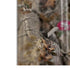 NFL San Francisco 49ers Realtree AP Camo Bose Noise Cancelling Headphones 700 Skin