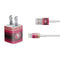 NFL San Francisco 49ers Trailblazer iPhone Charger (5W USB) Skin