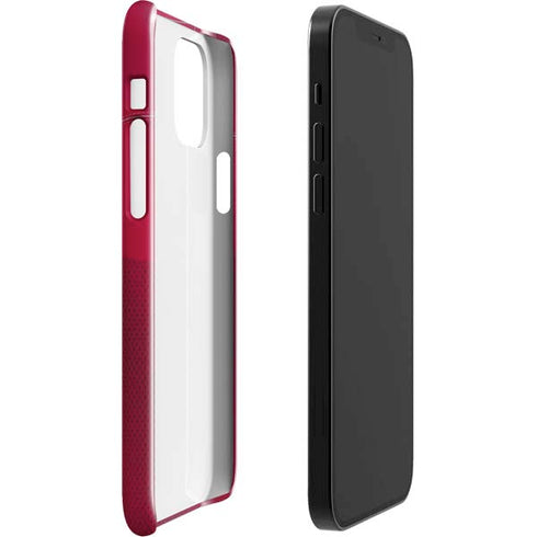 NFL San Francisco 49ers Team Jersey iPhone 12 Mini Lite Case