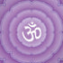 Sanskrit Purple iPhone XR Pro Case