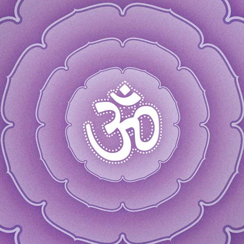 Sanskrit Purple iPhone XR Skin
