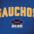 University of California-Santa Barbara Gauchos Legion Y720 Skin