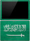 Saudi Arabia Flag Distressed Surface Pro 4 Skin