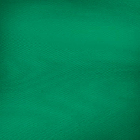 Saudi Arabia Soccer Flag iPhone X Skin