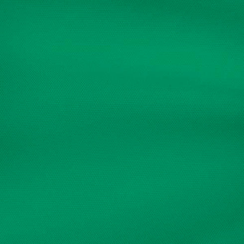 Saudi Arabia Soccer Flag iPhone XR Skin