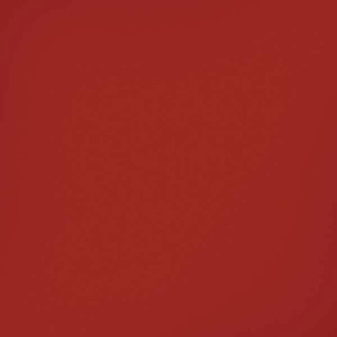 Scarlet Red iPhone XR Pro Case