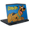 Scooby Doo Scooby-Doo Dell Alienware Skin