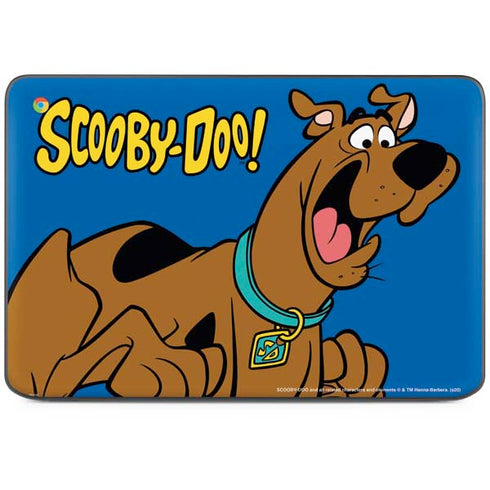 Scooby Doo Scooby-Doo HP Chromebook Skin