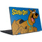 Scooby Doo Scooby-Doo Dell Vostro Skin