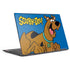 Scooby Doo Scooby-Doo HP Envy Skin