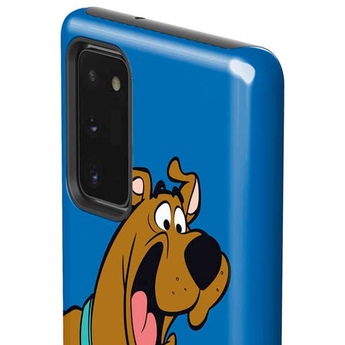Scooby Doo Scooby-Doo Galaxy Note20 5G Pro Case