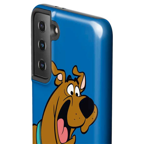 Scooby Doo Scooby-Doo Galaxy S21 FE Pro Case