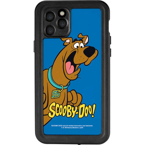 Scooby Doo Scooby-Doo iPhone 11 Pro Waterproof Case