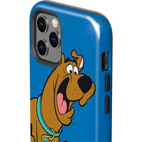 Scooby Doo Scooby-Doo iPhone 12 Pro Impact Case