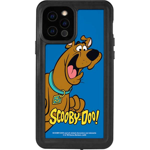 Scooby Doo Scooby-Doo iPhone 12 Pro Waterproof Case