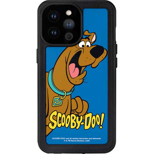 Scooby Doo Scooby-Doo iPhone 14 Pro Max Waterproof Case