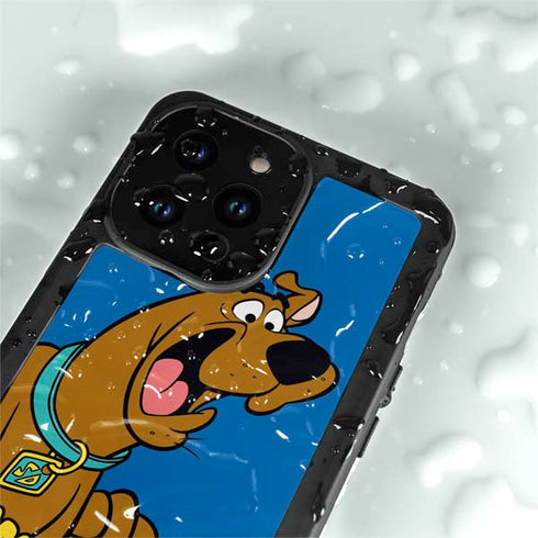Scooby Doo Scooby-Doo iPhone 14 Pro Max Waterproof Case
