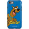 Scooby Doo Scooby-Doo iPhone SE (2nd & 3rd Gen) Pro Case