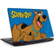 Scooby Doo Scooby-Doo Legion Y720 Skin