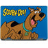 Scooby Doo Scooby-Doo Notebook 9 Pro 13in (2017) Skin