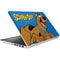 Scooby Doo Scooby-Doo HP Pavilion Skin