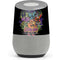Scooby Doo vs Monsters Google Home Skin