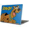 Scooby Doo Scooby-Doo Yoga 710 14in Skin