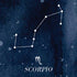 Scorpio Constellation Moto E5 Play Skin
