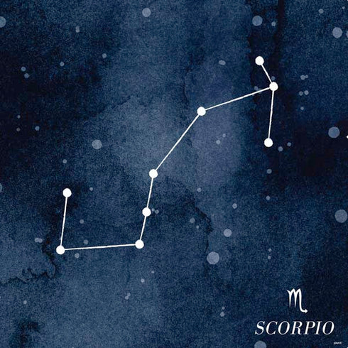 Scorpio Constellation PS4 Console and Controller Bundle Skin