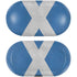 Scotland Flag Distressed Galaxy Buds Skin