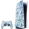Sea Shell Variety PS5 Bundle Skin