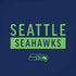 NFL Seattle Seahawks Blue Performance Series iPhone XS Max Skin