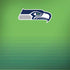 NFL Seattle Seahawks Breakaway Surface Book 2 15in Skin