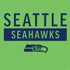 NFL Seattle Seahawks Green Performance Series PS4 Controller Skin