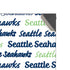NFL Seattle Seahawks Print Xbox Series X Console Skin
