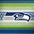 NFL Seattle Seahawks Trailblazer Notebook 9 Pro 13in (2017) Skin