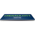 NFL Seattle Seahawks Team Motto Surface Laptop 4 15in Skin