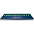 NFL Seattle Seahawks Team Motto Universal Laptop 12in (9.8 x 6.8in) Skin