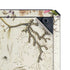 William Kilburn Seaweed on Silk Paper Cooler Master MasterBox Q300L Mini Tower Skin