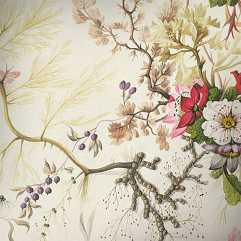 William Kilburn Seaweed on Silk Paper Galaxy Note 8 Skin