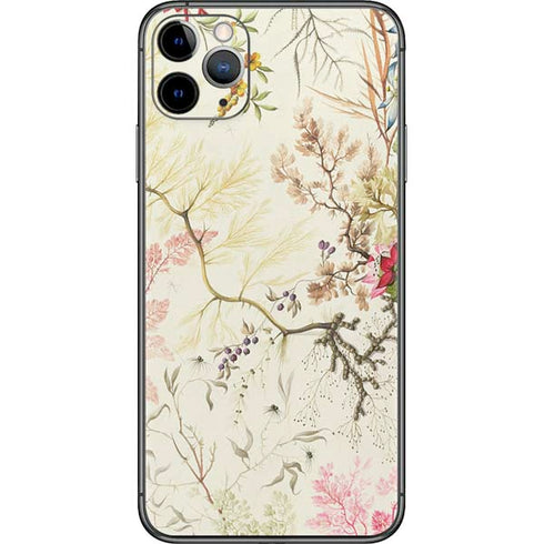 William Kilburn Seaweed on Silk Paper iPhone 11 Pro Max Skin